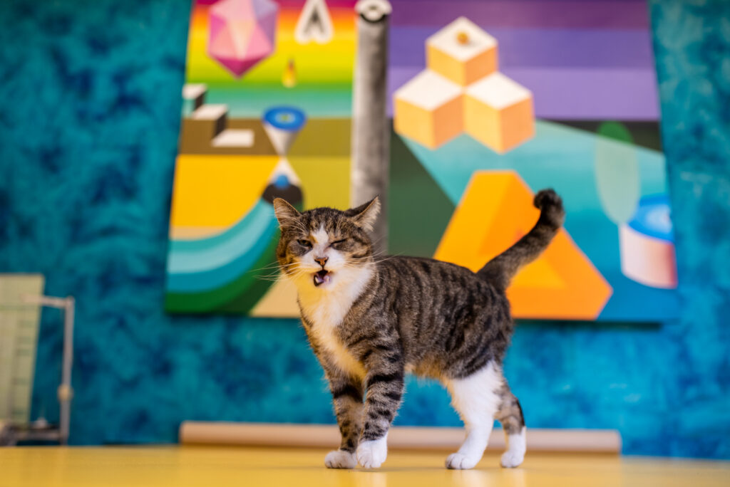 ZAIN2022_1002_133124_CXC_6338_CR